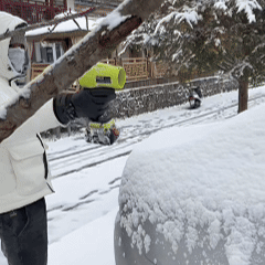 Seese Pro Blower – Ultra-Light, Ultra-Powerful