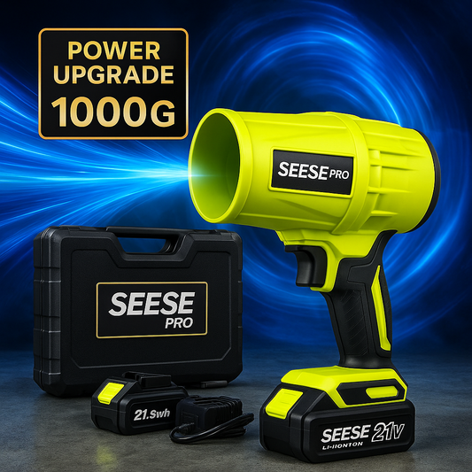 Upgrade the POWER to Seese Pro 1000G+